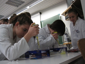 Lycée André Maurois (Bischwiller)