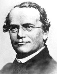 Gregor Mendel